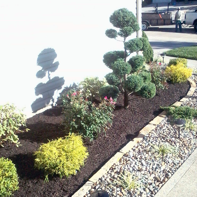 professional landscaping st charles county, missouri